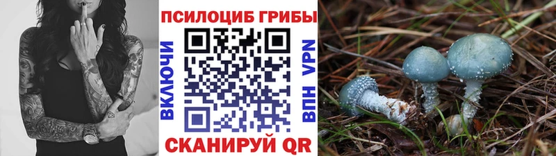 Псилоцибиновые грибы Cubensis  наркотики  ОМГ ОМГ ONION  Вилючинск 